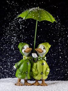 geese, few, snow, winter, umbrella, characters, fun, wildlife, adorable, geese, geese, winter, umbrella, nature, umbrella, umbrella, umbrella, umbrella-3902389.jpg